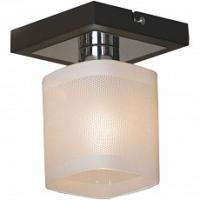 Светильник на штанге Lussole Costanzo LSL-9007-01 фото Светильник на штанге Lussole Costanzo LSL-9007-01