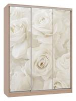 Шкаф-купе Бассо 7-600 розы (полки слева) дуб млечный фото Шкаф-купе Бассо 7-600 розы (полки слева) дуб млечный. Фото №1