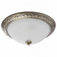 Накладной светильник MW-Light Ариадна 450015703. Фото №1