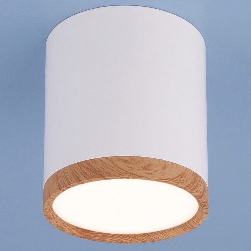 Накладной светильник Elektrostandard Dlr024 a040548. Фото №1