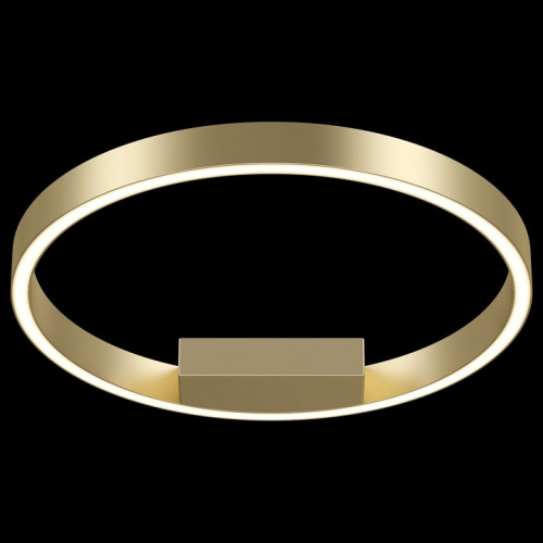 Накладной светильник Maytoni Rim MOD058CL-L25BS4K. Фото №2