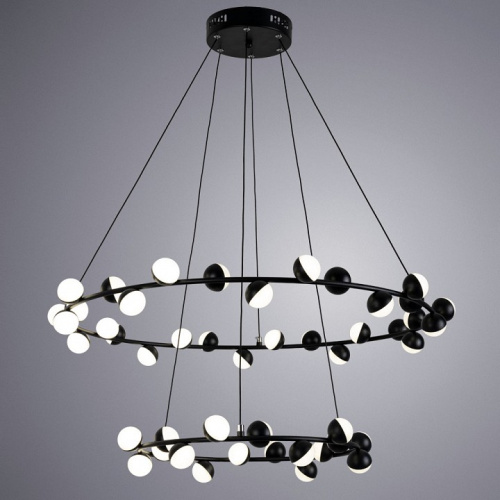 Подвесная люстра Arte Lamp Dexter A3619SP-48BK. Фото №2