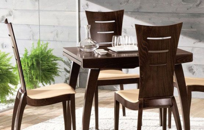 Стул  Ирис. Фото