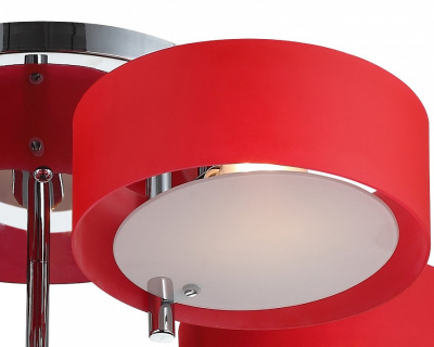 Потолочная люстра ST-Luce Foresta SL483.602.05. Фото