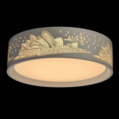 Накладной светильник MW-Light Ривз 674016001. Фото