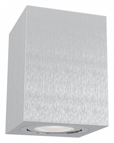 Накладной светильник Maytoni Alfa C017CL-01S. Фото №1