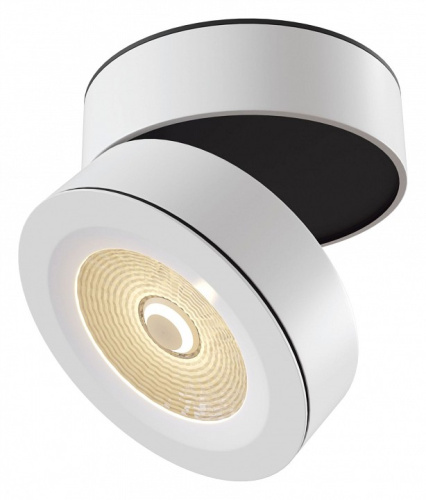 Накладной светильник Maytoni Treviso C023CL-L20W. Фото №1