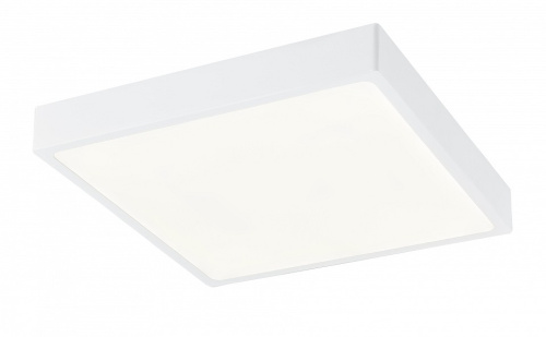 Накладной светильник Globo Alena 12365-30. Фото №1